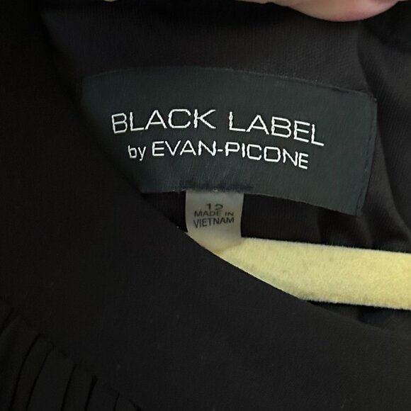 Ladies Evan Picone (Black Label) Black empire waist black formal dress Size 12 - Picture 5 of 9